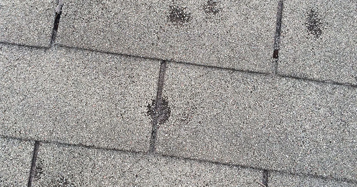 Close-up of asphalt shingles with a dark area of missing surface granules